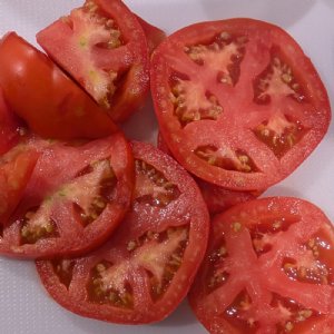 Ace 55 Tomato Seeds