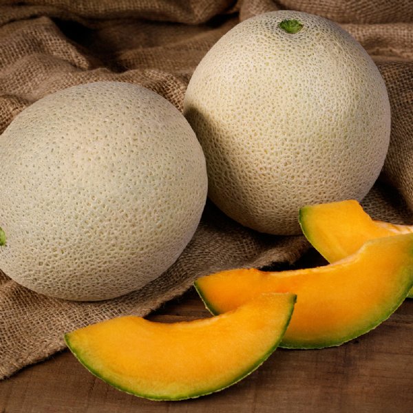 Alaniz Gold Cantaloupe Seeds