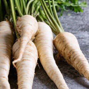 All American Parsnip Seed