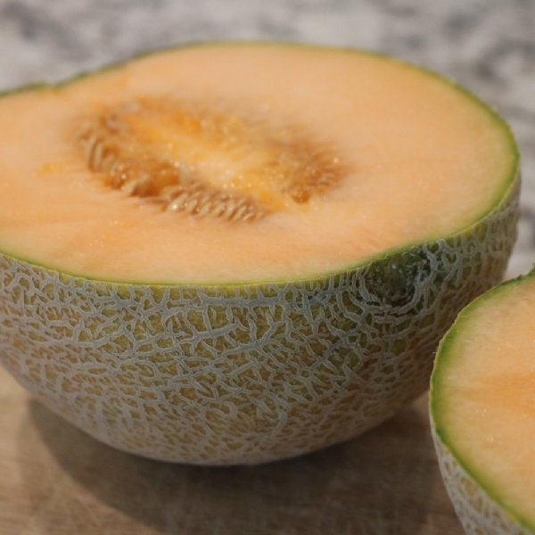 Ambrosia Cantaloupe Seeds