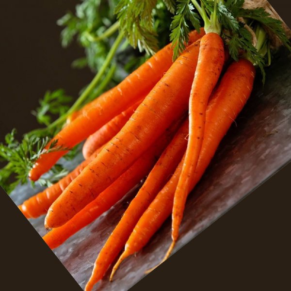 Amsterdam Carrot Seed