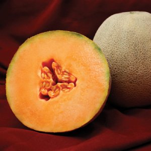 Avatar Cantaloupe Seeds