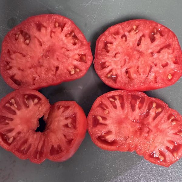 Beefmaster Tomato Seeds