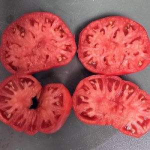 Beefmaster Tomato Seeds