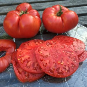 Beefsteak Tomato Seeds