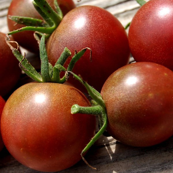 Black Cherry Tomato Seeds