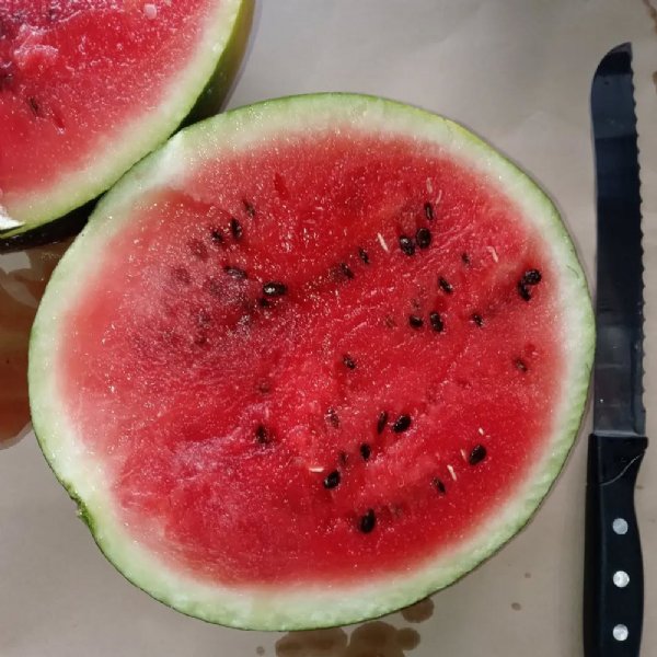 Black Diamond Watermelon Seed