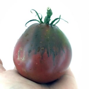 Black Truffle Tomato Seeds