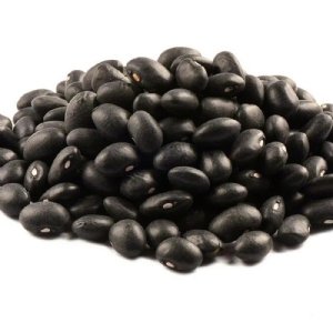 Black  Bean Seed