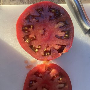 Brandywine Black Tomato Seeds