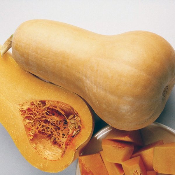 Bugle Squash Seed