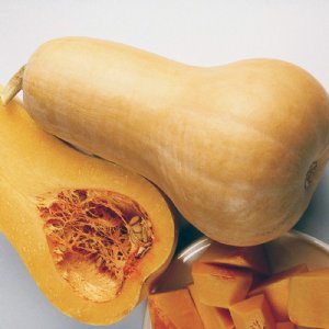 Bugle Squash Seed