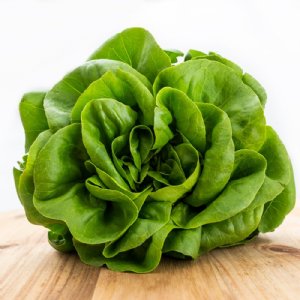 Butter King Lettuce Seed