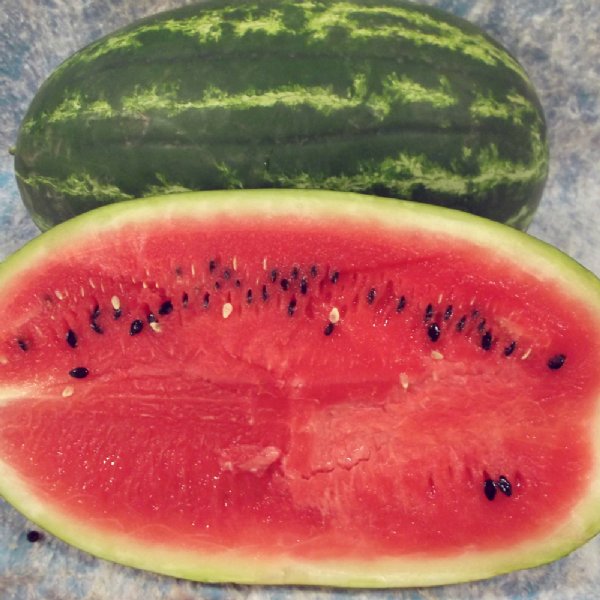 Cal Sweet Watermelon Seed