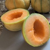 Cantaloupe Seeds