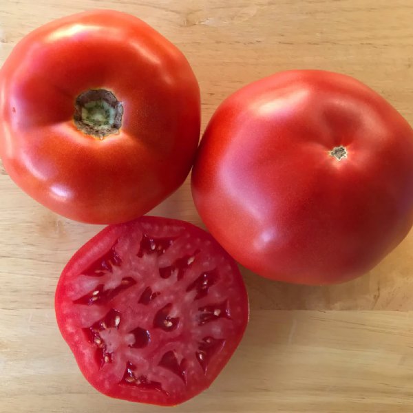 Caribe Tomato Seeds