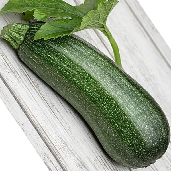 Cash Flow Zucchini Squash Seed