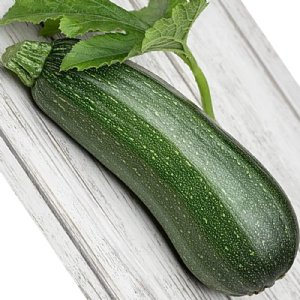 Cash Flow Zucchini Squash Seed