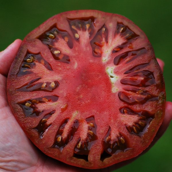 Cherokee Purple Tomato Seeds