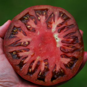 Cherokee Purple Tomato Seeds