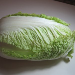 China King Cabbage Seed