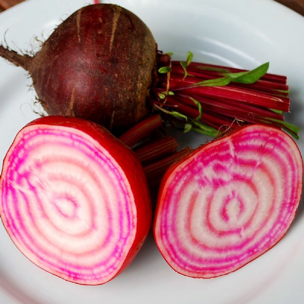 Chioggia Beet Seed