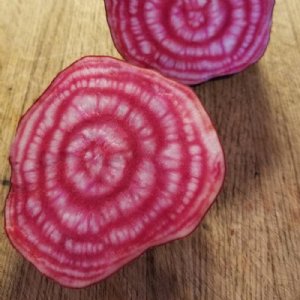 Chioggia Guardsmark Beet Seed