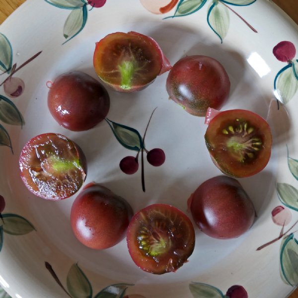 Chocolate Cherry Tomato Seeds