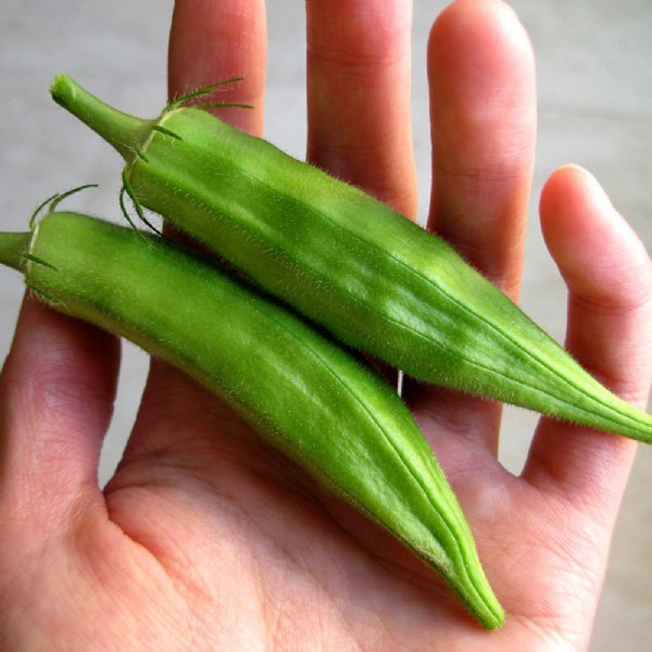 Clemson Spineless Okra Seed