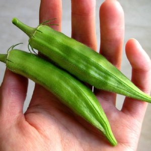 Clemson Spineless Okra Seed