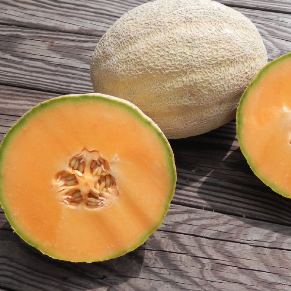 Cleopatra Cantaloupe Seeds