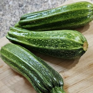 Cocozelle Zucchini Squash Seed