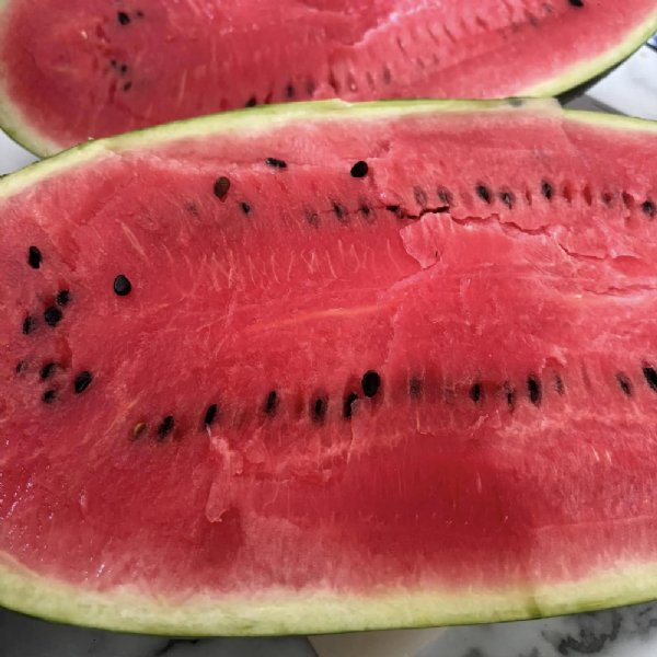 Congo Watermelon Seed