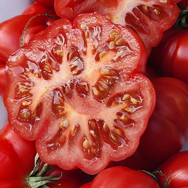 Costoluto Genovese Tomato Seeds