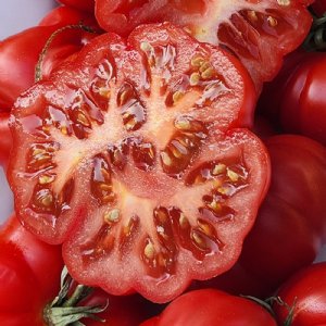 Costoluto Genovese Tomato Seeds