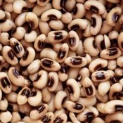 Cow Pea Seeds