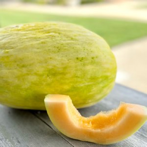 Crenshaw Cantaloupe Seeds