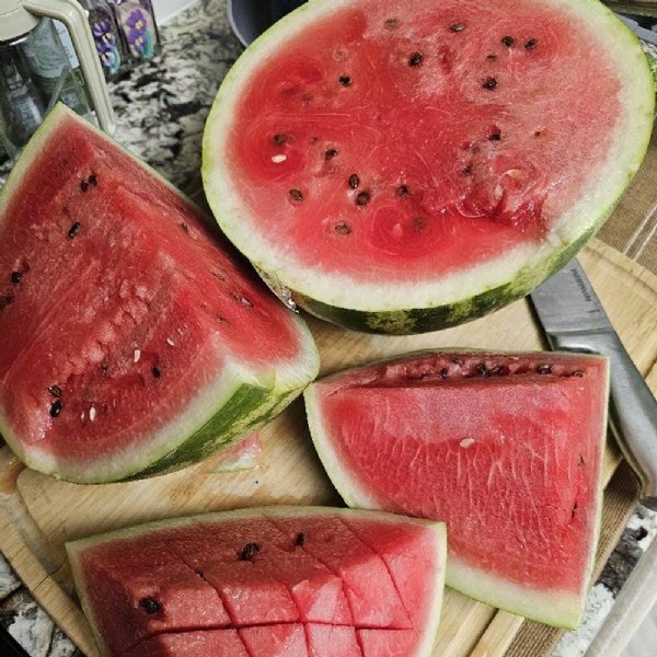 Crimson Sweet Watermelon Seed