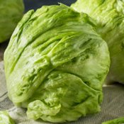 Crisphead Lettuce Seeds