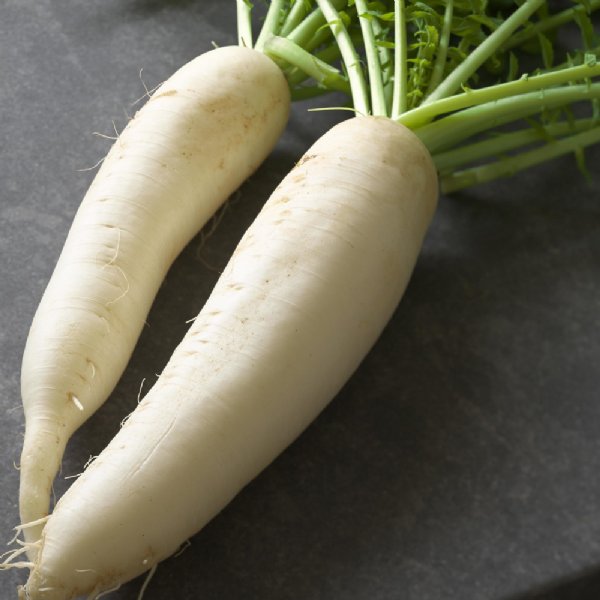 Daikon Radish Seed