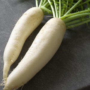 Daikon Radish Seed