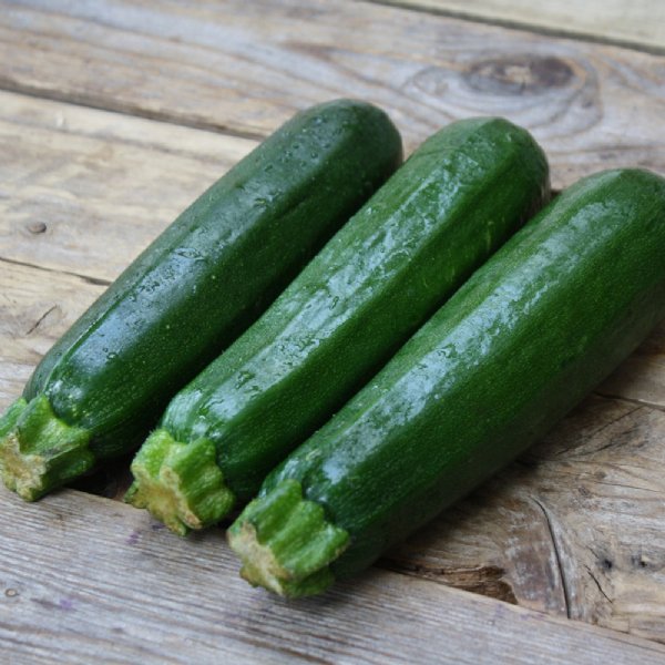 Dark Green Zucchini Squash Seed