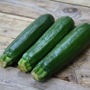 Dark Green Zucchini Squash Seed