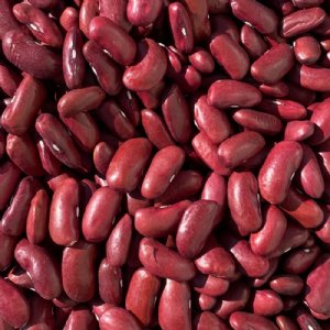 Dark Red Kidney Bean Seed