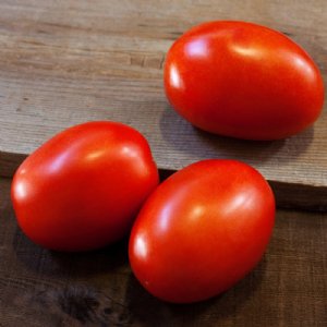 Daytona Tomato Seeds