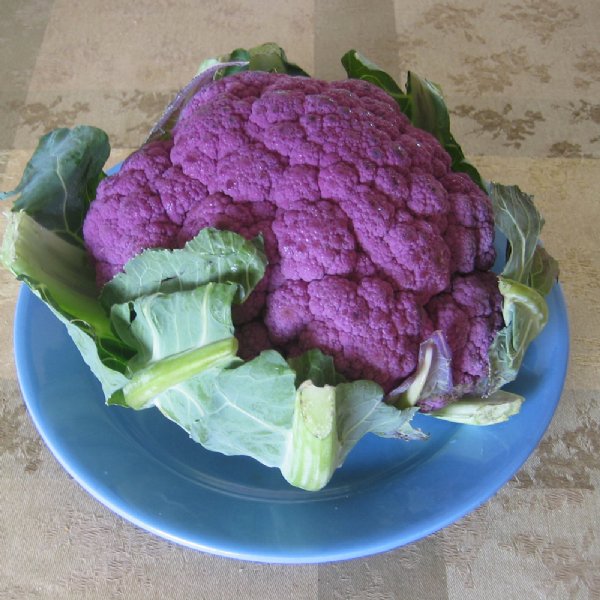 De Purple Cauliflower Seed