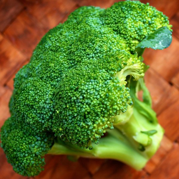 Decicco Broccoli Seed