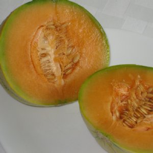 Delicious 51 Cantaloupe Seeds