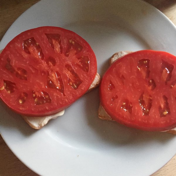 Delicious Tomato Seeds