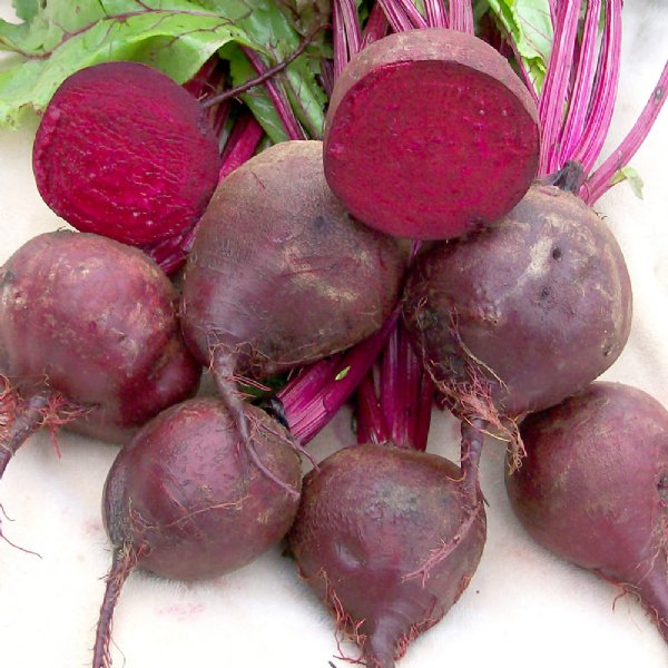 Detroit Dark Red Beet Seed